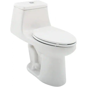 Glacier Bay 1-piece 1.1 GPF1.6 GPF High Efficiency Dual Flush Elongated Toilet in White Slow-Close, Seat Included
