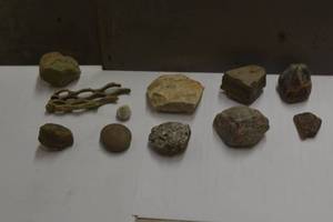 lot 125 image: Lot of rocks, drift wood, small snail shell- back plate is 4 tall for size reference