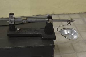 lot 141 image: Herters Hunting Gun Reloading Powder Powder Scale