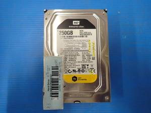 lot 23 image: Western Digital 250GB HardDrive