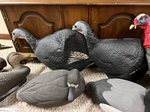 lot 99 image: Turkey & Duck Decoys