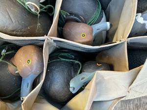 lot 208 image: 6 Duck Decoys and Carry Bag #1