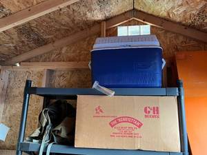 lot 219 image: Shelf with Coolers, Green Tarp and Styrofoam Decoys