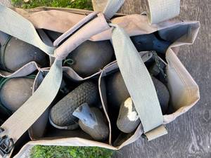 lot 211 image: 6 Duck Decoys - weighted and carry bag #4