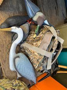 lot 215 image: Lot of 6 Duck Decoys & Other Birds
