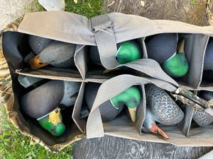 lot 212 image: 12 Duck Decoys - weighted and carry bag