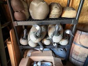 lot 214 image: Large lot of Duck & Geese Decoys