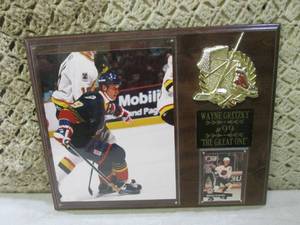 (FS) Wayne Gretzky The Great One ...