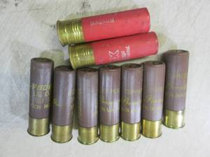 (BSB) Shot Gun Shells See Photos...