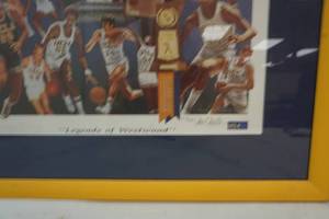UCLA picture