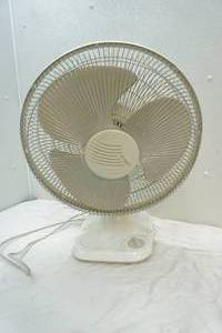 fan