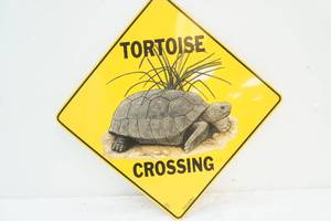 tortoise sign