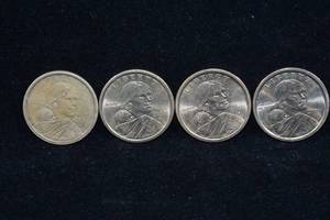lot 238 image: Sacagawea Dollar Coins
