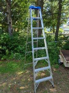 lot 195 image: Werner 8 Ladder- Who Doesnt Need Another Ladder