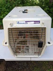 lot 167 image: Petmate Pet Kennel