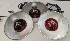 lot 177 image: Set of (3) Clamp Lamp Lights w250-Watt Red Flood Bulbs
