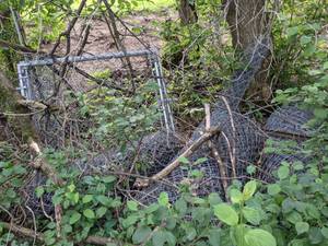 lot 729 image: Two Gates, (3) Rolls of 4 Chain Link Fence and Multiple Fence Posts