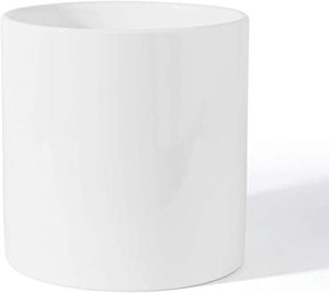 Dear Desires White Flower Pot