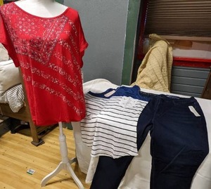 Talbots Jeans Plus Tops, Sz 16P