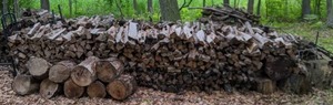 lot 45 image: Large Amount of Firewood