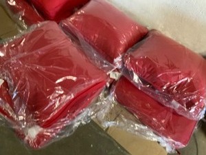 (4) Unbranded 22 in. x 22 in. x 4 in. Cushion Set Outdoor Corded in Sunbrella Canvas Jockey Red. See Pictures