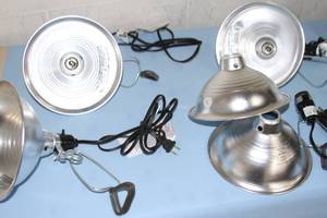 lot 100 image: Lot of Clamp-On Task Lights  Lighting Units - Great for Photography