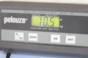 lot 126 image: Pelouze 4040 Heavy Duty 400 Pound LB Digital Shipping Scale