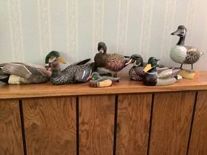 Hand Painted Waterfowl