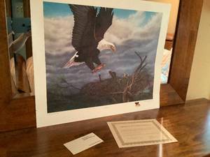 American Bald Eagle by Lloyd Hovland