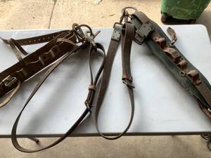 Tree Climbing Gear