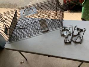 Live Animal Traps
