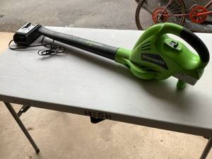 Greenworks Leaf Blower and Charger