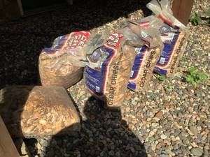 Cedar Chips