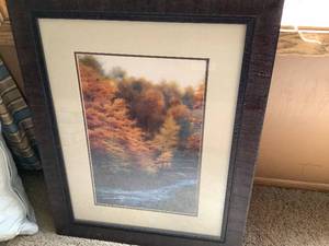 Framed Print