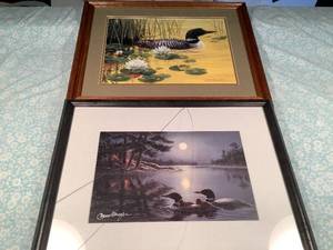 Framed Loon Prints