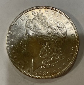 1880 Morgan Silver Dollar