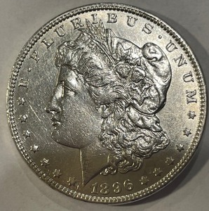 1896 Morgan Silver Dollar