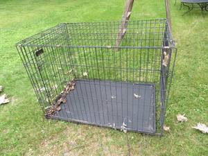 METAL DOG KENNEL
