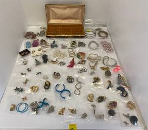 Misc. Costume Jewelry Lot