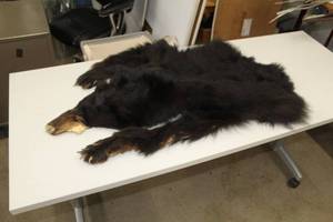 lot 941 image: Fur