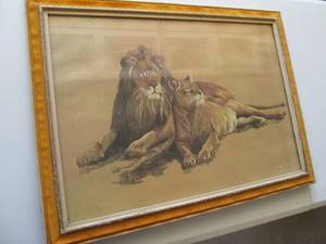 3124 framed big cat print...