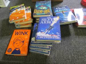 lot 124 image: box of 21 new kids books ...
