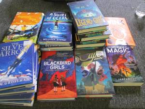 lot 126 image: box of 19 new kids books ...