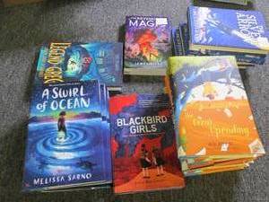 lot 133 image: box of 17 new kids books ...