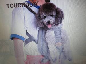 Touchdog Wiggle-Sack Fashion Design...