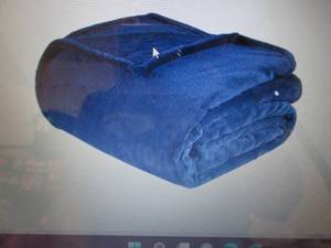 Intelligent Design Microlight Plush...