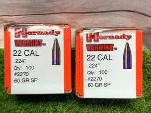 TWO BOXES 100 EACH .22 CAL BULLETS