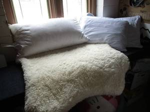 lot 146 image: 3 Pillows and A Fuzzy Mat with a Mi...
