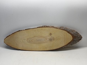 Oval Tree Trunk Slice
