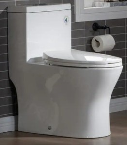 Woodbridge Avanti 1-Piece 1.01.6 GPF High Efficiency Dual Flush Elongated All-in-One Toilet with Soft Closed Seat in White, HT3001. - Unclaimed Freight.